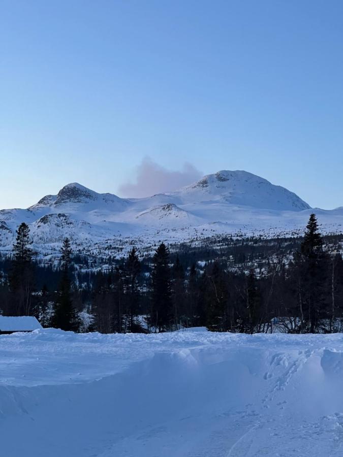 Brand New Cabin On The Sunny Side Of Gaustatoppen With A Great View Tuddal Exterior foto