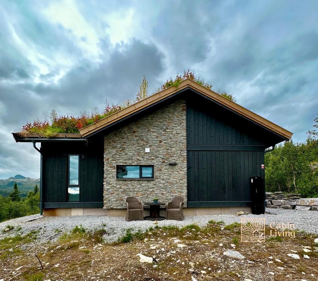 Brand New Cabin On The Sunny Side Of Gaustatoppen With A Great View Tuddal Exterior foto